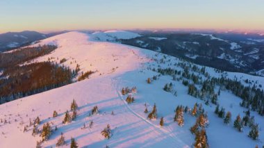Karpatlar Vadisi 'nde kar kaplı tepeler ve dağlarla kaplı ladin ormanları soğuk, mor ve pembe bir günbatımının arka planına karşı.