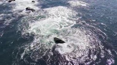 Kuşlar, açık mavi, güneşli bir günde açık mavi bir gökyüzünün altında Karadeniz 'in mavi dalgalı yüzeyindeki kayalık, ıslak bir çıkıntıya bakar ve yan bakar. UHD 4K video gerçek zamanlı