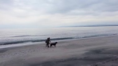 Adult mother and hostess and her little cheerful daughter in warm clothes walk along sandy sea wild beach with faithful funny big dog of Rottweiler breed, in cold cloudy weather. UHD 4K video realtime