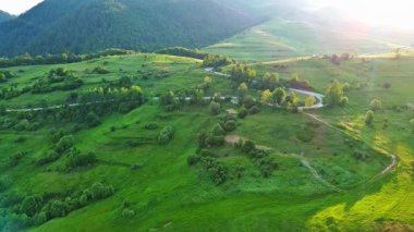 Dönen asfalt bir dağ yolu yüksek yeşil tepeleri geçer ladin ormanları ile kaplı ve taze bahar geniş çayırları bulutlu gri sınırsız gökyüzüne karşı. UHD 4K video gerçek zamanlı