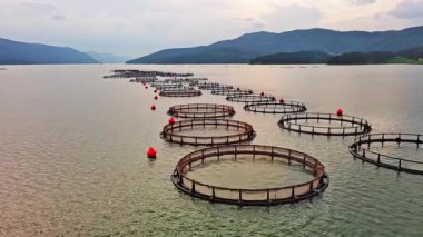 Rodop Dağları 'nın bir dağ vadisinde, bulutlu bir bulutlu gökyüzünün altında, dağlar arası serin bir gölde taze balık yetiştirmek için büyük kafesler. UHD 4K video gerçek zamanlı
