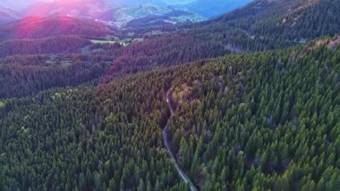 Güçlü, güvenilir metal kablolu bir turist asansörü, Rodop Dağları 'nın dağ sıralarının tepesinde, dikenli uzun tepeleri olan ladin ormanlarının arasından geçer. UHD 4K video gerçek zamanlı