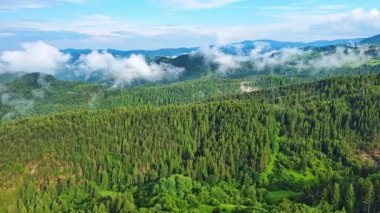 View from high rock to old village town Smolyan with green meadows for cattle walking and houses, between mountain range of Rhodope Mountains sheltered by spruce forests. UHD 4K video realtime