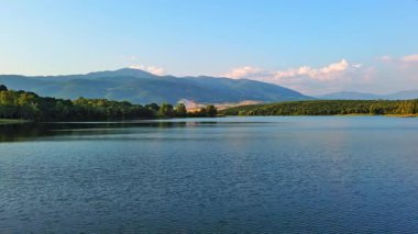 Small blue reflecting lake and clear cool water with stone narrow wild shore in coniferous spruce forest with tall fir trees, against pale blue daytime cloudy sky. UHD 4K video realtime