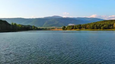Small blue reflecting lake and clear cool water with stone narrow wild shore in coniferous spruce forest with tall fir trees, against pale blue daytime cloudy sky. UHD 4K video realtime