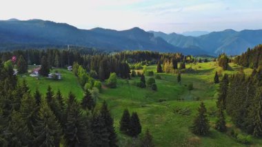 Green spring mountain valley sheltered by mountain vegetation and spruce dark forests with small old village of Smolyan, with grassy meadows where hungry motley sheep graze. UHD 4K video realtime