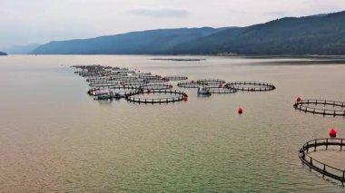 Rodop Dağları 'nın bir dağ vadisinde, bulutlu bir bulutlu gökyüzünün altında, dağlar arası serin bir gölde taze balık yetiştirmek için büyük kafesler. UHD 4K video gerçek zamanlı