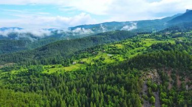 View from high rock to old village town Smolyan with green meadows for cattle walking and houses, between mountain range of Rhodope Mountains sheltered by spruce forests. UHD 4K video realtime
