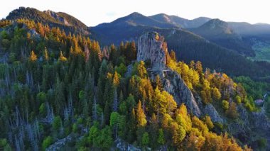 Yüksek kayadan eski köy kasabası Smolyan 'a sığır yürüyüşü için yeşil çayırlar ve ladin ormanlarıyla korunan Rodop Dağları' nın dağ sıraları arasındaki antik evler. UHD 4K video gerçek zamanlı