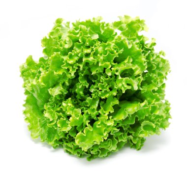 Beyaz izole taze marul yaprakları 