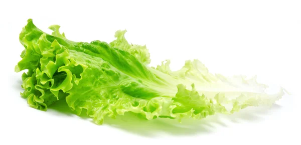 Fresh lettuce leaves isolated on a white — Stock Photo, Image