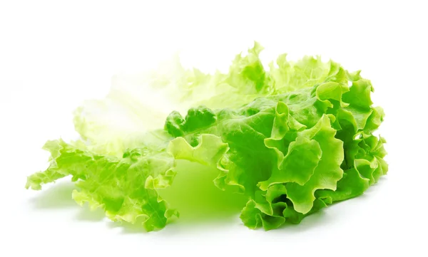 Fresh lettuce leaves isolated on a white — Stock Photo, Image