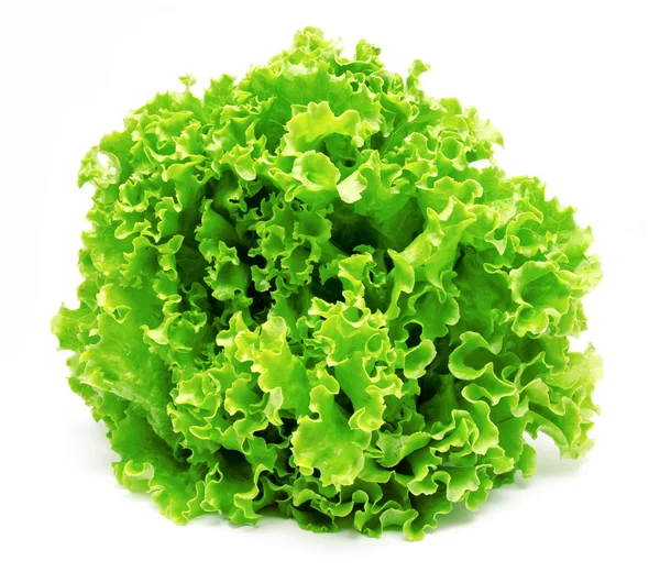 Fresh lettuce leaves isolated on a white — Stock Photo, Image