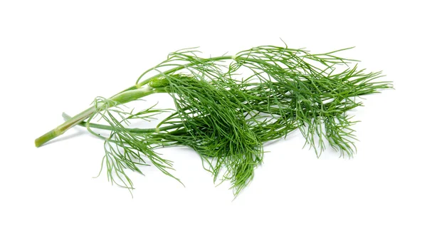 Fresh green fennel isolated on a white — Stock Photo, Image