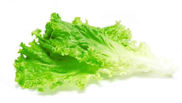 Свіжі листя салату ізольовані на білому — стокове фото