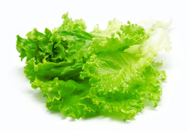 Fresh lettuce leaves isolated on a white — Stock Photo, Image