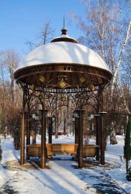 Kış parkta güzel ağaç dikme