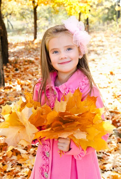 Autumn portrait of adorable little girl — Stock Photo, Image