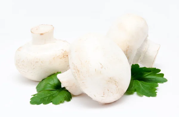 Champignon mushroom white agaricus with parsley — Stock Photo, Image