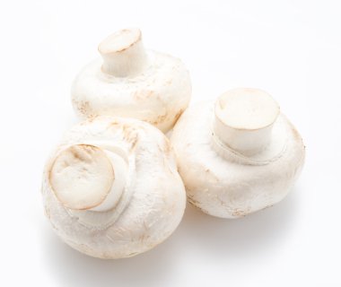 champignon mantar beyaz agaricus