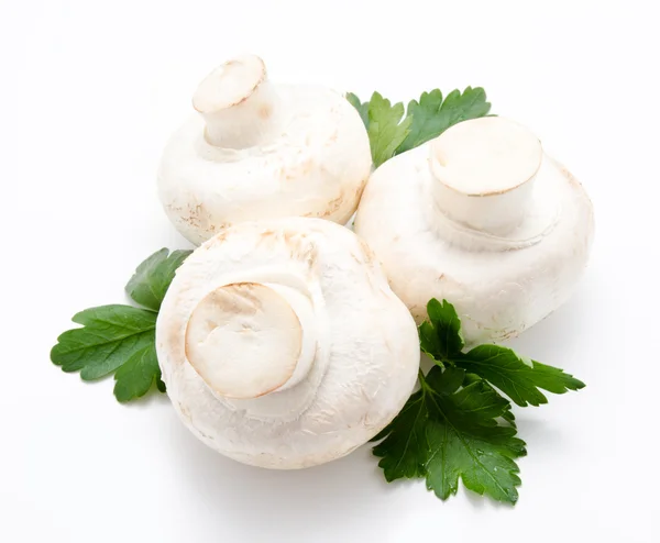 Champignon mushroom white agaricus — Stock Photo, Image