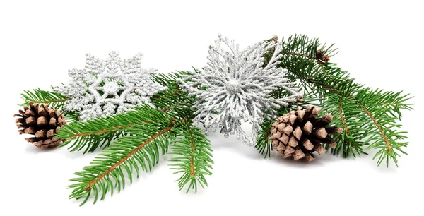 Christmas decoration fir cones — Stock Photo, Image