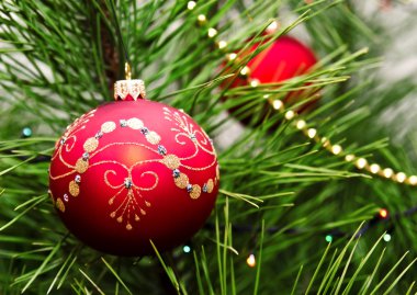 Noel top köknar ağacı üzerinde asılı