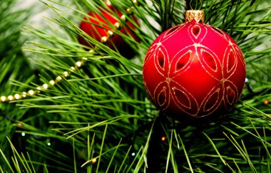 Noel top köknar ağacı üzerinde asılı