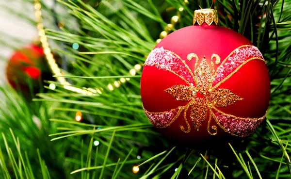 Christmas ball hanging on fir tree — Stock Photo, Image