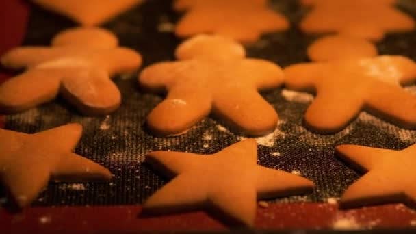 Χριστουγεννιάτικα μπισκότα με μελόψωμο. Αστέρια, ανθρωπάκια, χριστουγεννιάτικα δέντρα. Διακοπές. Χριστούγεννα. Οικογένεια. — Αρχείο Βίντεο