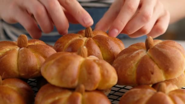 Cuire des petits pains à la citrouille. Les mains féminines insèrent une noix dans un chignon de citrouille pour créer une queue de citrouille, gros plan. Concept d'automne. Des petits pains. Petits pains frais. — Video