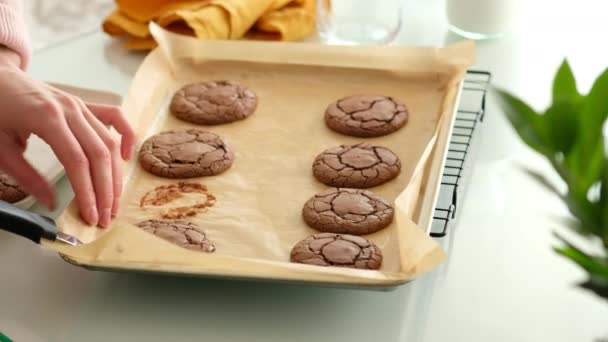 Свежеиспеченные шоколадные печенья. Женские руки выкладывают шоколадное печенье из хлебопекарного листа на тарелку на стеклянном столе. Крупный план. — стоковое видео