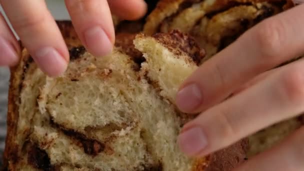 シナモンとチョコレートのパンを破る美しい女性の手。パンとロール。酵母パン。牛乳、バター、小麦粉、卵、酵母で作ったパン。. — ストック動画
