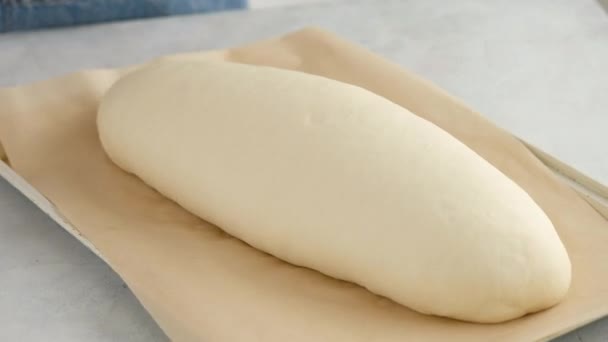 As mãos femininas removem a toalha da massa em uma mesa leve para fazer pão de trigo. Preparamos o pão branco em uma padaria profissional da farinha, água, óleo, sal. — Vídeo de Stock