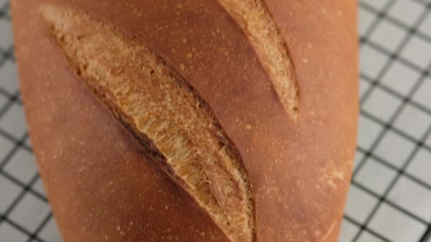 Movimento telecamera. Il primo piano di pane di grano caldo si trova su un reticolo su un tavolo leggero. Il pane bianco viene preparato in un panificio professionale da farina, acqua, olio, sale. — Video Stock