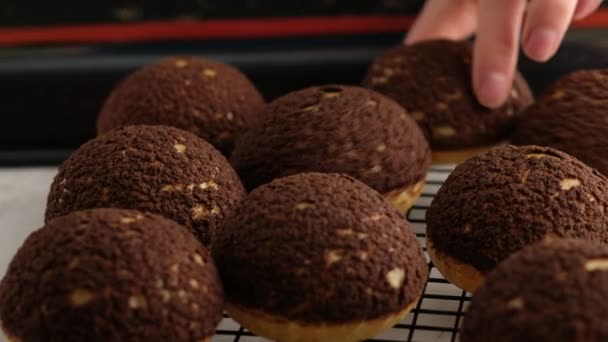 Choux oder Profiteroles kochen, weibliche Hände legen Choux fertig auf dem Drahtgestell auf, in Großaufnahme. Kochen cremig und Beerenchoux mit Schokolade Craquelin. Vanille Choux mit Schokolade Craquelin. — Stockvideo