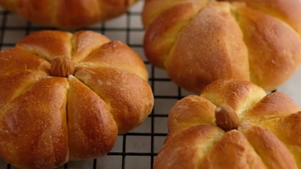 Cocinar bollos de calabaza. Preparados bollos de calabaza en una rejilla de alambre, de cerca. Concepto de otoño. Bollos de desayuno. Bollos frescos. — Vídeos de Stock