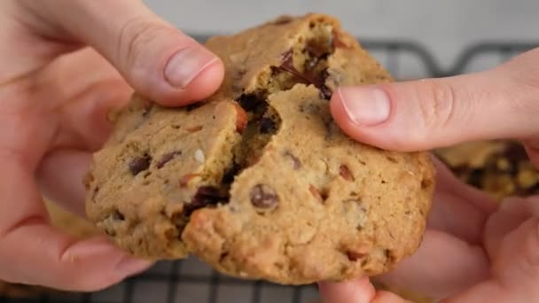 Close-up of beautiful female hands breaking a chocolate chip cookie, in the background lies a cookie on the lattice. 4K. The concept of making chocolate chip cookies step by step. — Stock Video