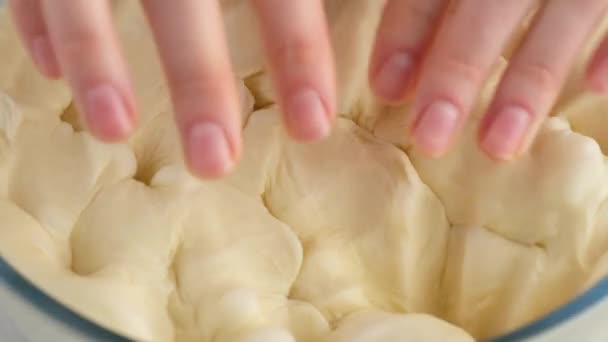 De belles mains féminines dans une cuisine professionnelle préparent la pâte à farine pour faire du pain et des petits pains. Du pain à la levure. Pain à base de lait, beurre, farine, œufs et levure. — Video