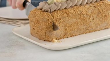 Ön manzara. Kadın eli çikolatalı kremayla sünger keki keser ve tabağa bir parça koyar. Pasta şefi ev yapımı bir pasta hazırlıyor. Mutfak, pişirme konsepti. Charlotte kremalı kremalı pandispanya..