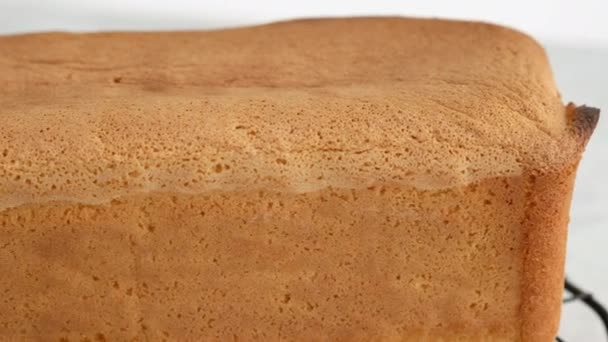 Mouvement de la caméra. Gros plan biscuit rectangulaire se trouve sur le porte-fil. Le chef pâtissier prépare un gâteau fait maison. Concept culinaire de cuisson. Gâteau éponge crémeux à la crème de charlotte. — Video