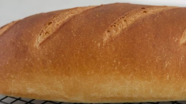 Kamerabewegung. Großaufnahme von heißem Weizenbrot liegt auf einem Gitter auf einem hellen Tisch. Weißbrot wird in einer professionellen Bäckerei aus Mehl, Wasser, Öl, Salz zubereitet. — Stockvideo