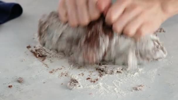 女性の手はチョコレートチップクッキーを作るためにチョコレート生地をこねる。チョコレートチップクッキーとジンジャーブレッドを作る。クッキー生地を作る。閉鎖. — ストック動画