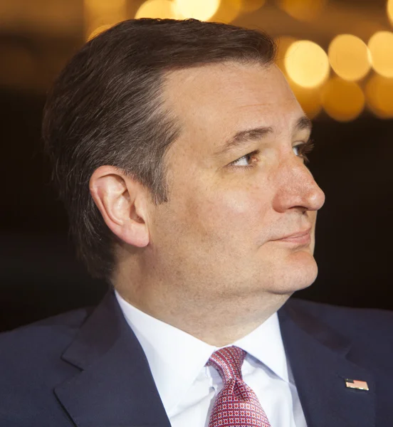 Ted Cruz Başkan adayı — Stok fotoğraf