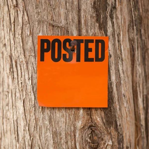 Posted Orange Notice — Stock Photo, Image