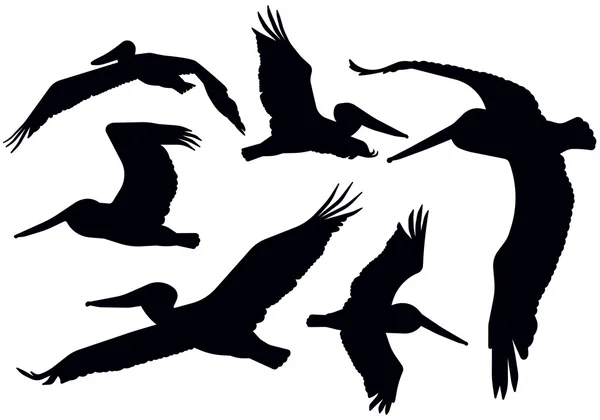 Silhouette volanti pelican — Vettoriale Stock