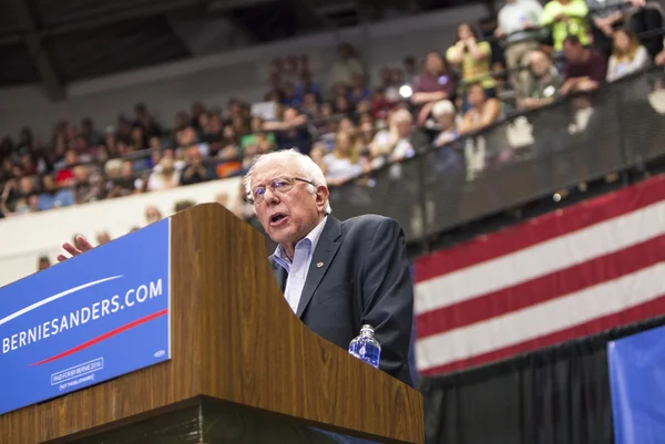 Senátor Bernie Sanders — Stock fotografie