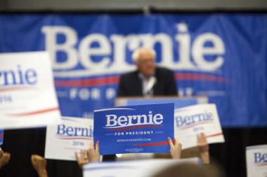Bernie Sanders Rallisi