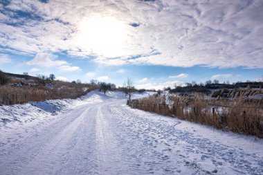 Kış mevsiminde mavi gökyüzünün altında tepeler ve çayırlar olan karlı bir manzara. Alım Parkı Hayvanat Bahçesi, Hollanda