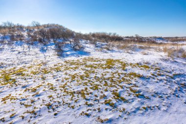 Amsterdamse 'deki karlı ve buzlu kış manzarası Waterleidingduinen, berrak mavi gökyüzü.